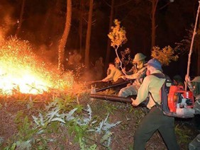 Những chiêu khắc chế 'bà hỏa' của kiểm lâm Thanh Hóa