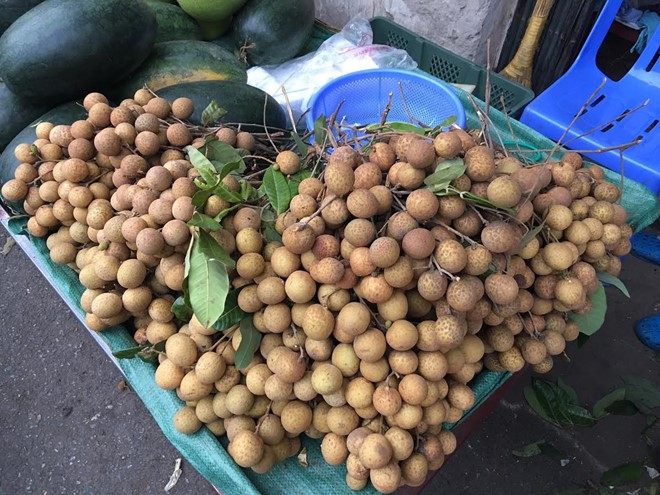 su that loai nhan khong lo, vo vang bong ban khap cho ha noi hinh anh 1