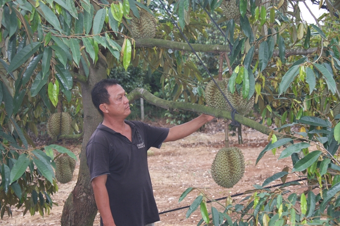 tưới tiết kiệm