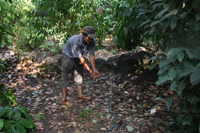 tưới tiết kiệm