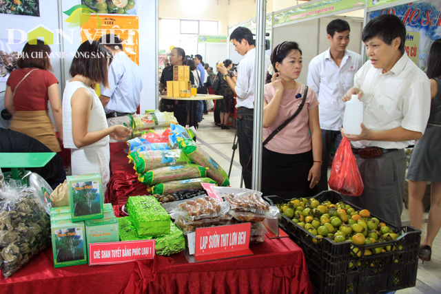 nong san dac san an toan bac bo quy tu chon thu do hinh anh 14