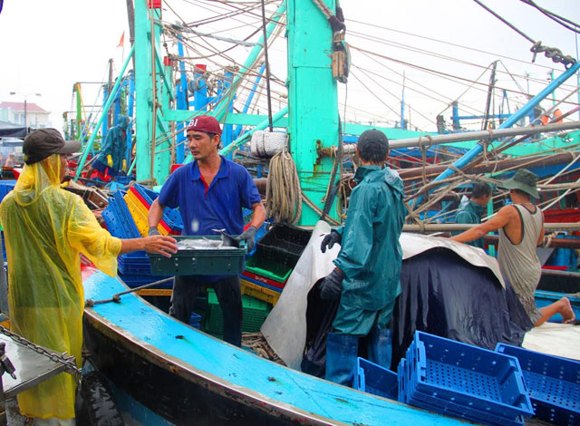 ngu dan binh dinh hoi ha tim noi tru an, vao bo ban “loc” bien hinh anh 2