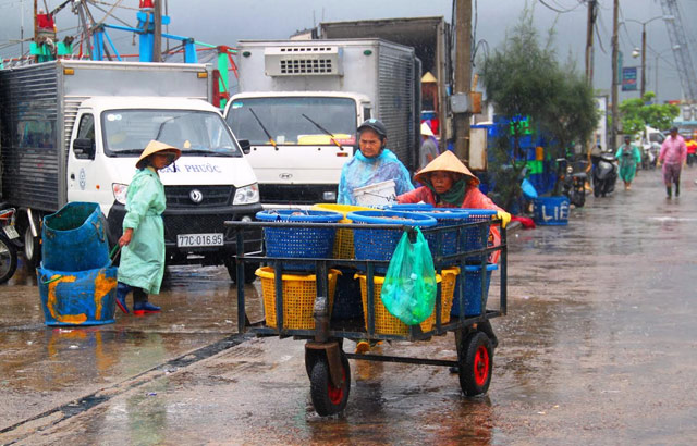 ngu dan binh dinh hoi ha tim noi tru an, vao bo ban “loc” bien hinh anh 4