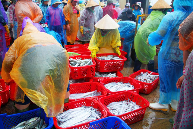 ngu dan binh dinh hoi ha tim noi tru an, vao bo ban “loc” bien hinh anh 3