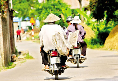 mua chau chau, mua kiem bon tien hinh anh 2