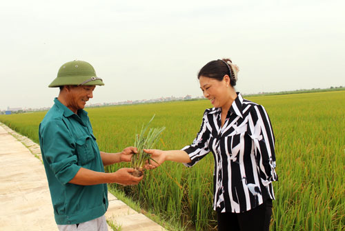 nghi luc phi thuong  cua “ty phu mot tay” hinh anh 1