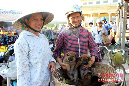 doc dao ghe tham cho cho con o nghe an hinh anh 1