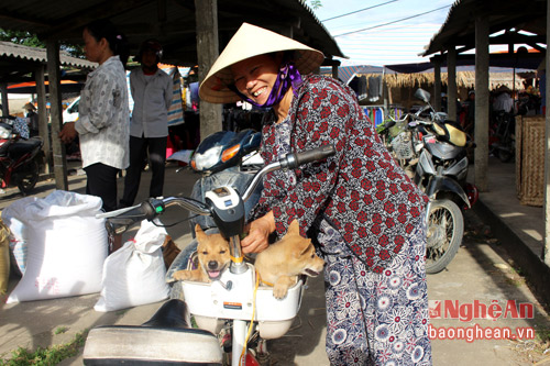 doc dao ghe tham cho cho con o nghe an hinh anh 6