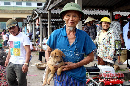 doc dao ghe tham cho cho con o nghe an hinh anh 11