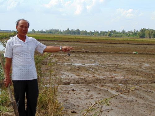 thue dat lam lua de... giup nguoi ngheo hinh anh 1