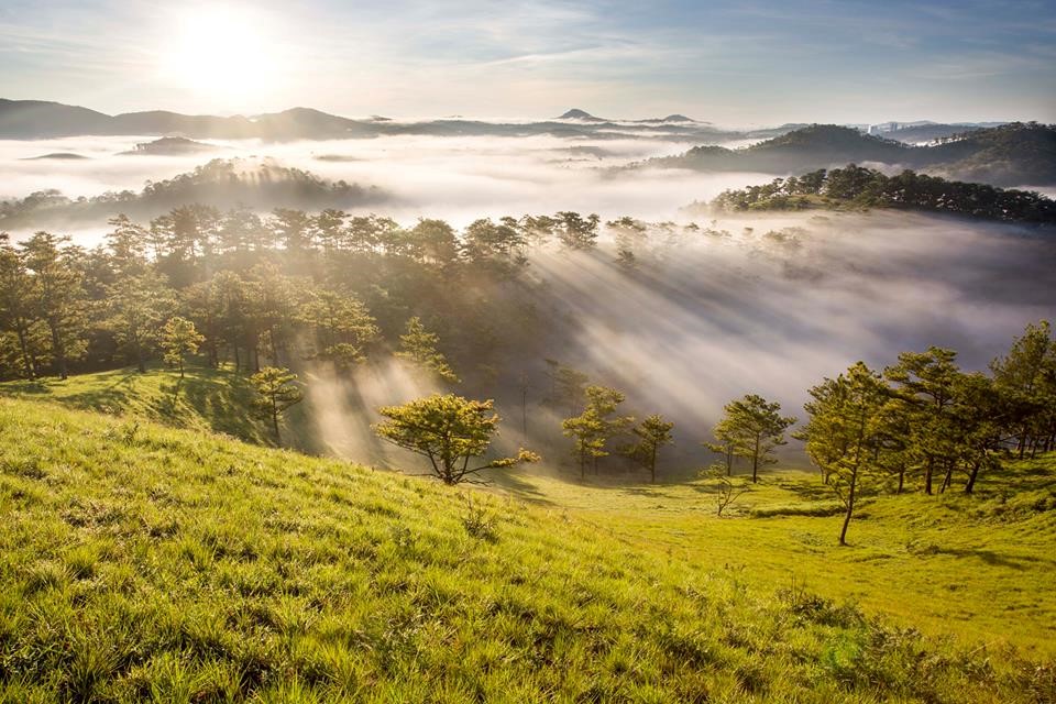 Mua thu diu ngot o xu ngan hoa hinh anh 3