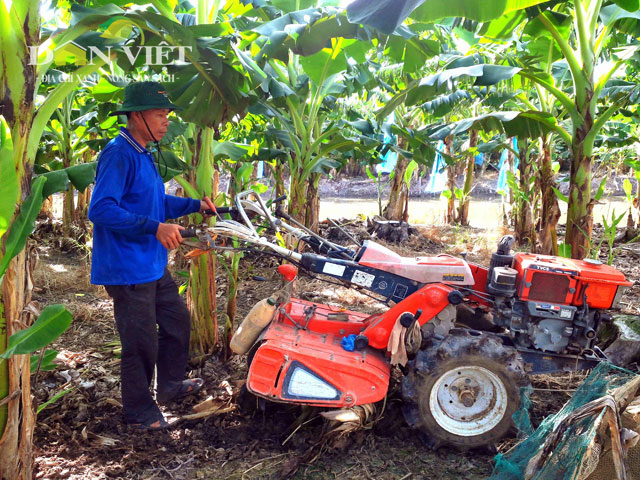 quy trinh chuan quoc te o vuon chuoi cong nghe cao lon nhat dbscl hinh anh 11