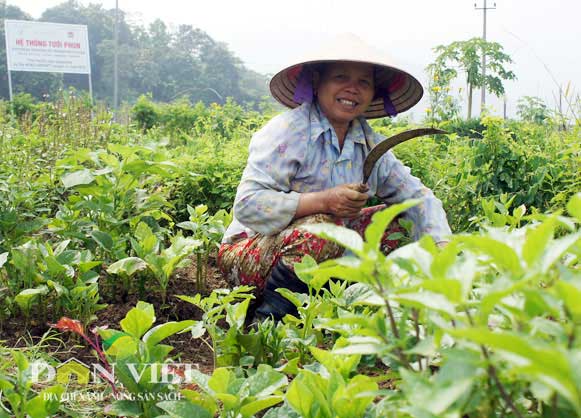 nong dan tu lap cong dong san xuat nong san sach hinh anh 1