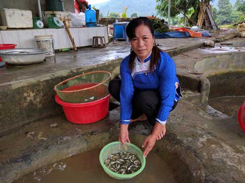 nu ty phu vung cao lai o to di... ban ca giong hinh anh 1