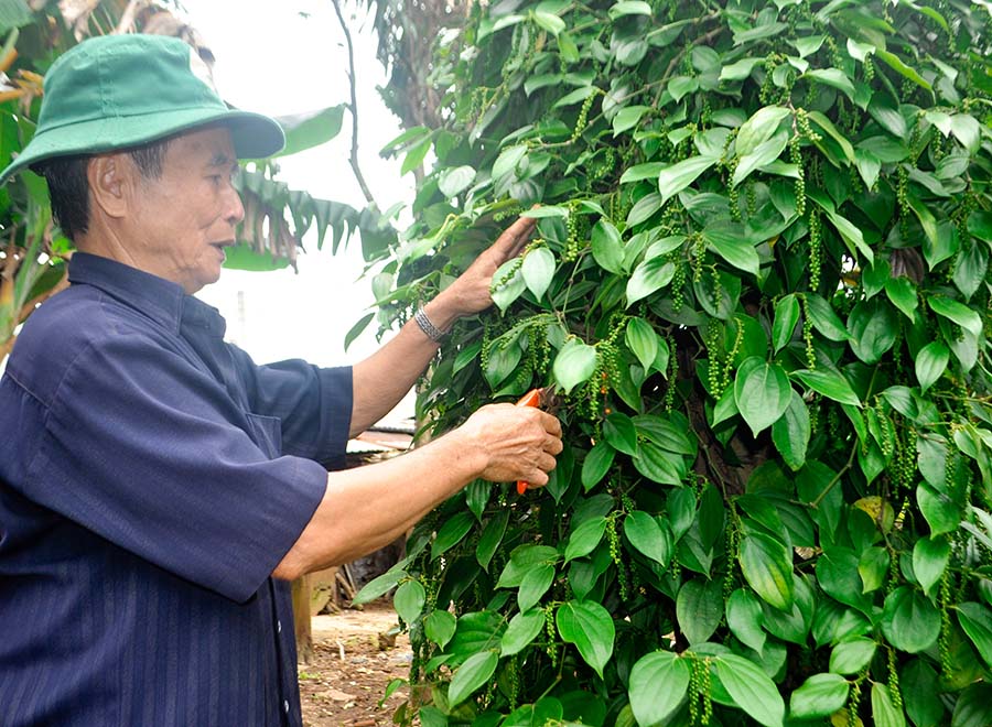 u80: hanh phuc la khi duoc cong hien hinh anh 1