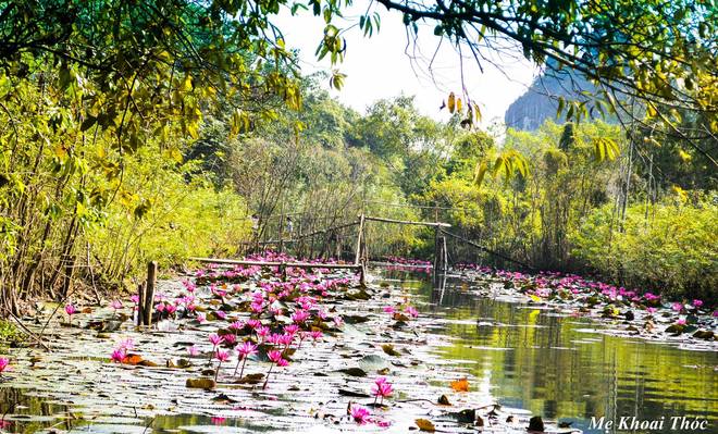 ngo ngang voi bo anh dep ve thien nhien o suoi yen chua huong hinh anh 10