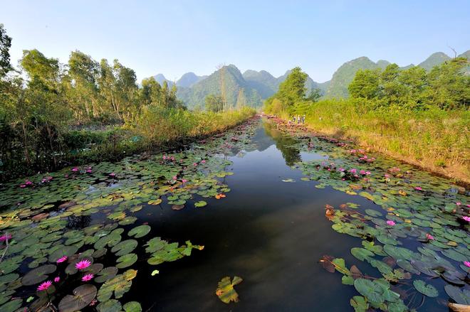 ngo ngang voi bo anh dep ve thien nhien o suoi yen chua huong hinh anh 1