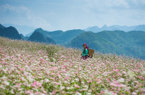 nhung diem ngam canh dep mua thu2