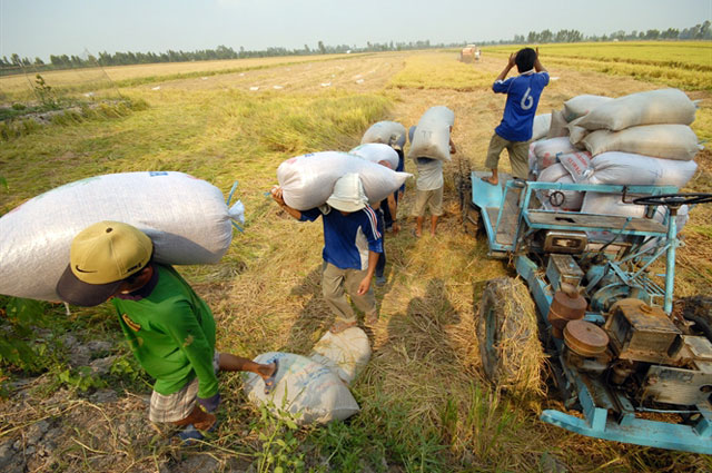 "Thần nông" miền Tây mang trong mình giấc mơ đại điền