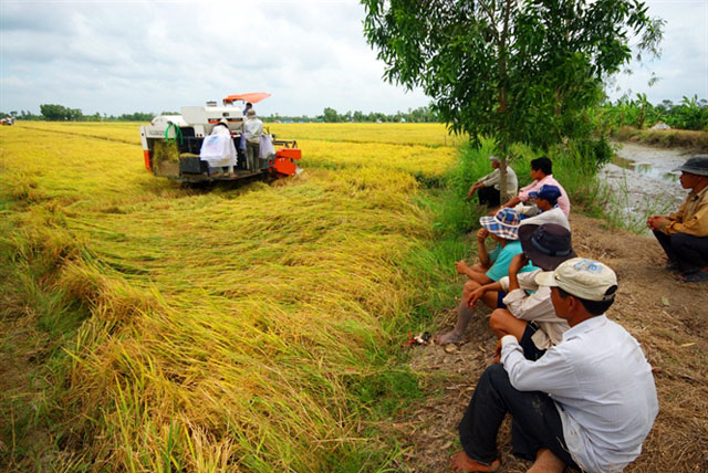 "Thần nông" miền Tây mang trong mình giấc mơ đại điền