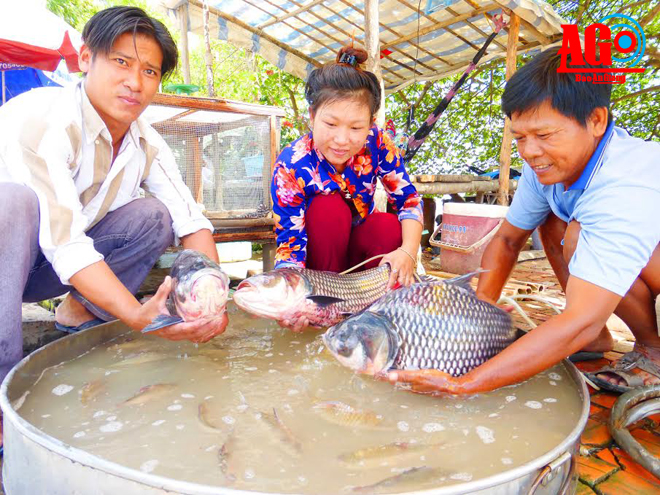 cao thu 