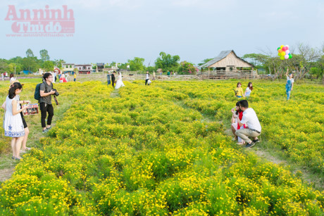 Không phải ở đâu xa xôi, có một thảo nguyên đẹp mê hồn nằm ngay giữa lòng Hà Nội