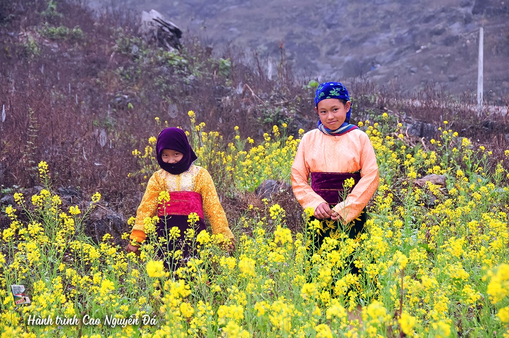 10 dieu khong nen bo lo khi du lich bui Ha Giang hinh anh 10