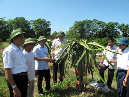 suc lan toa lon tu chuong trinh “tu hao nong dan viet nam” hinh anh 1