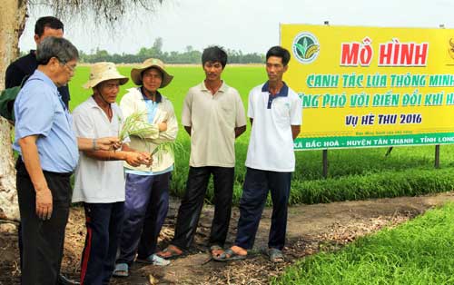 canh tac lua thong minh thich ung bien doi khi hau: bo han thoi quen canh tac lac hau hinh anh 1