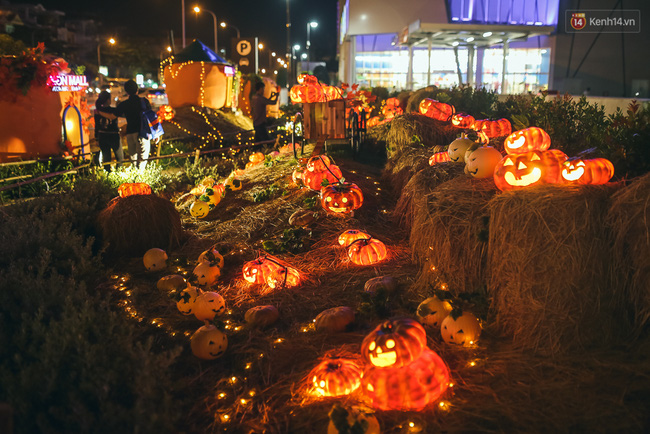 Vườn bí ngô ở Bình Tân: Điểm chụp ảnh hot nhất Halloween năm nay cho giới trẻ Sài Gòn - Ảnh 16.