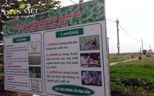 vua rau sach vietgap “khung” nhat da thanh co gi dac biet? hinh anh 3