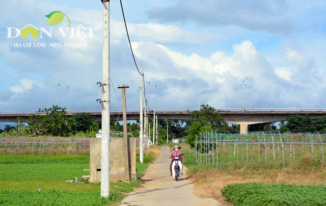 vua rau sach vietgap “khung” nhat da thanh co gi dac biet? hinh anh 4