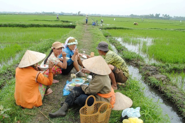 Một thời tuổi thơ 8X, chúng ta cũng từng mang cơm ra đồng cho bố mẹ như thế này - Ảnh 2.