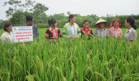 khuyen nong can duoc coi la mot nghe hinh anh 1