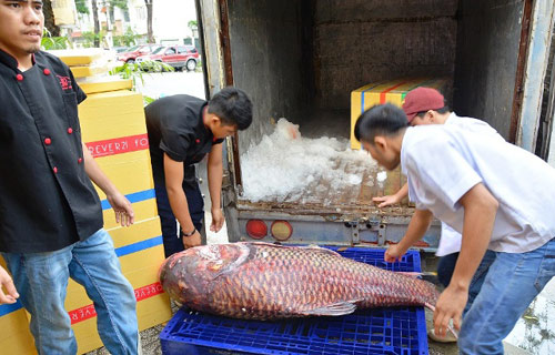 tan thay ca “khung”, phai 3 nguoi khieng o sai gon hinh anh 1