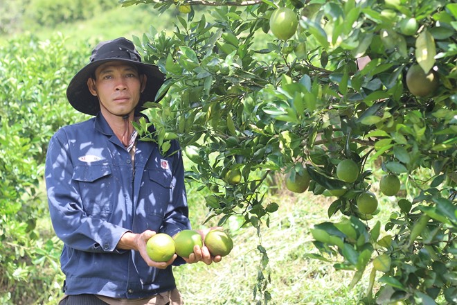 cam ruot do - hang hiem gia binh dan 