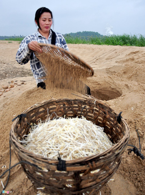 doc dao: keo nhau ra bai boi dao ham cat lam gia do sach hinh anh 9