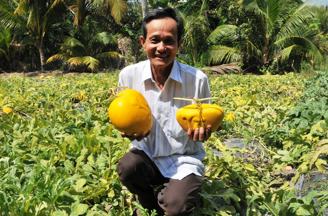 dbscl: nam nay, trai cay doc, la trung tet se hiem hang hinh anh 2