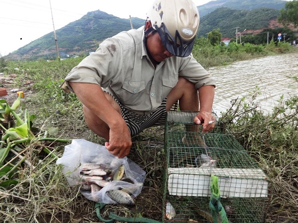 ca dong, luon dong xuat hien day dac sau mua lu, dan 