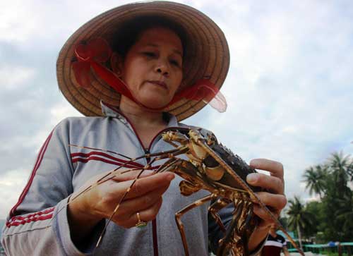 “dai tang” tom hum: cay dang trang tay, om no hinh anh 2