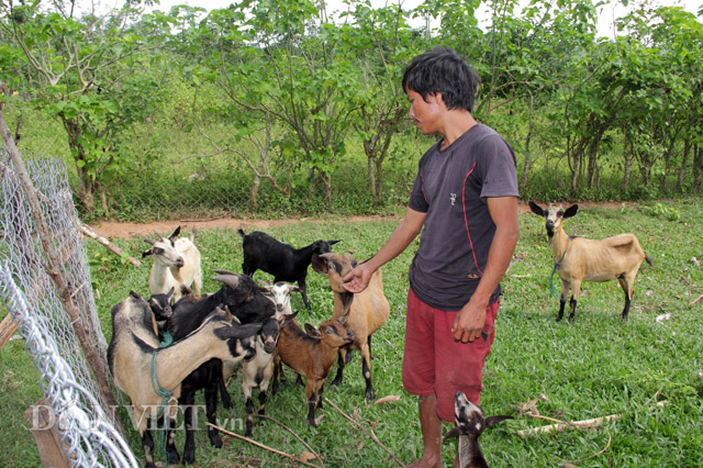 lan loi len ban “san” dac san de nui an tet hinh anh 6