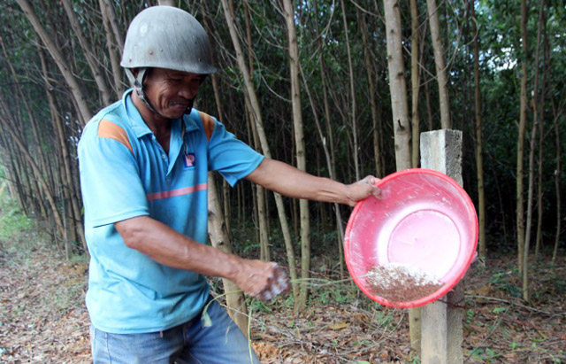 gian nan nghe di san trung kien hinh anh 8