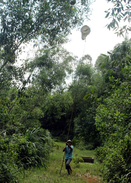 gian nan nghe di san trung kien hinh anh 2