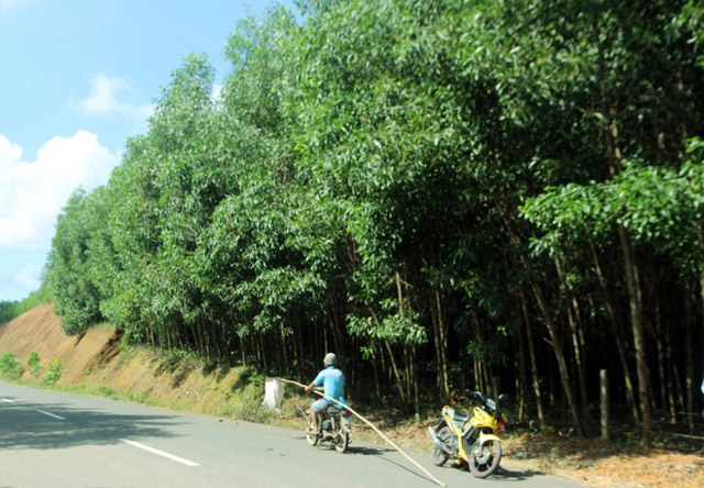 gian nan nghe di san trung kien hinh anh 1