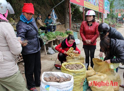 nhung san vat noi bat mua dong cua mien tay xu nghe hinh anh 2