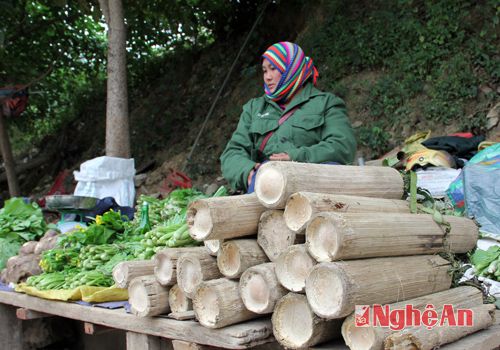 nhung san vat noi bat mua dong cua mien tay xu nghe hinh anh 8