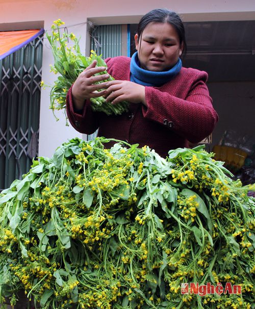 nhung san vat noi bat mua dong cua mien tay xu nghe hinh anh 6