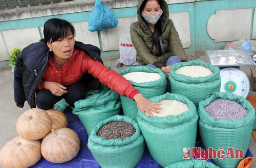 nhung san vat noi bat mua dong cua mien tay xu nghe hinh anh 15