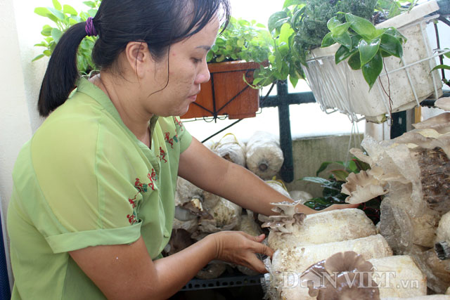 dan sai thanh tu trong nam tai nha: sach - re - de hinh anh 1