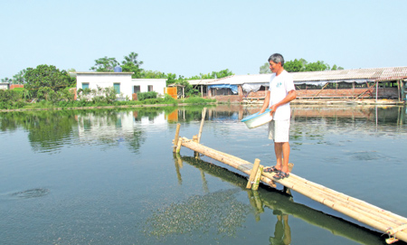 ntm thuy ninh (thai binh) : khong no dong - van ve dich hinh anh 2